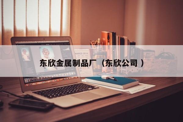 東欣金屬制品廠（東欣公司 ）